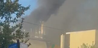 fwtia ilion 2 1200x630.jpg