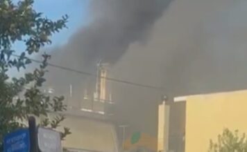 fwtia ilion 2 1200x630.jpg