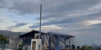 fwtia rafina 1 1200x630.jpg