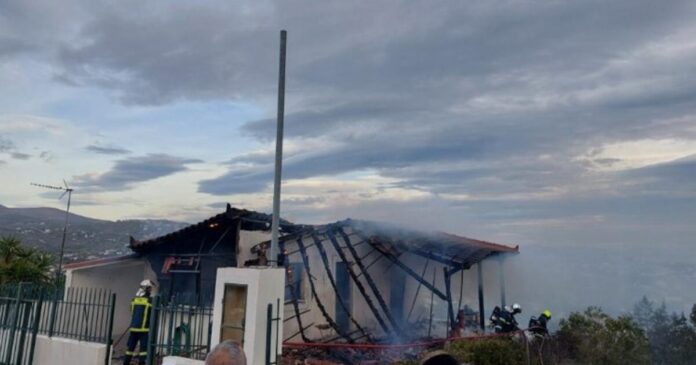 fwtia rafina 1 1200x630.jpg fwtia rafina 1 1200x630.jpg