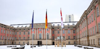 germany brandenburg reuters 1200x630.jpg