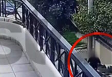 gluka nera 1200x630.jpg