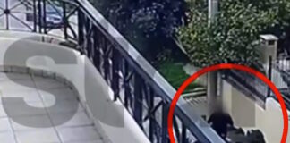 gluka nera 1200x630.jpg