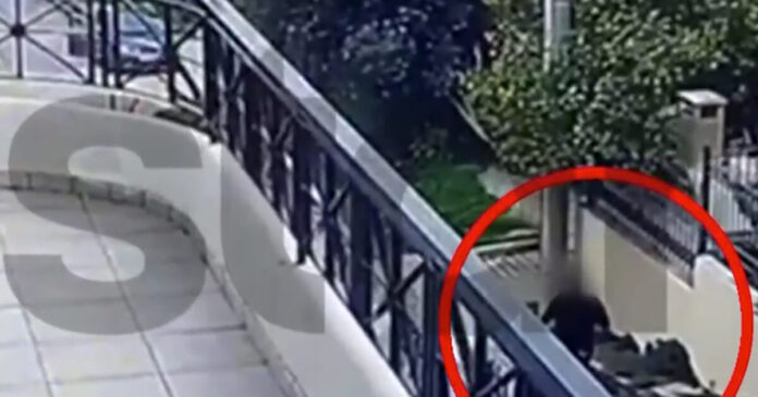 gluka nera 1200x630.jpg