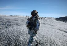 greenland 1 1 1200x630.jpg