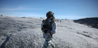 greenland 1 1 1200x630.jpg