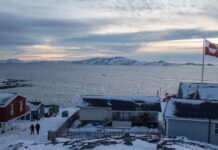 greenland 1 2 1200x630.jpg