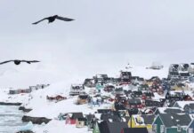 greenland 2 1200x630.jpg