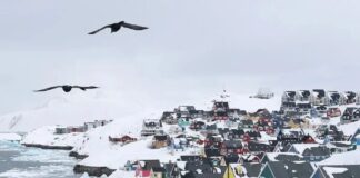 greenland 2 1200x630.jpg