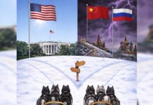 groilandia trump 1200x630.jpg