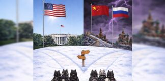 groilandia trump 1200x630.jpg