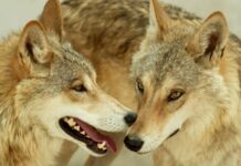 h0410712 620x350.jpg