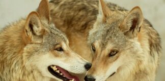 h0410712 620x350.jpg