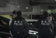 iapwnia astunomia 1200x630.jpg