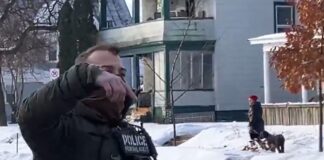 ice agent 1200x630.jpg