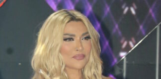 iliadi ndp 1200x630.jpg