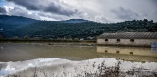 ipeiros kakokairia 1200x630.jpg