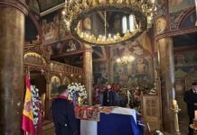 irene 1 1200x630.jpg