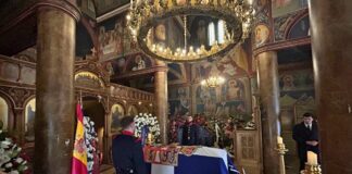 irene 1 1200x630.jpg