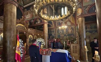 irene 1 1200x630.jpg