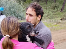 Ισπανία: Διασώθηκε σκύλος που βρισκόταν μέσα σε ένα από τα μοιραία βαγόνια της σιδηροδρομικής τραγωδίας ispania 1200x630.jpg