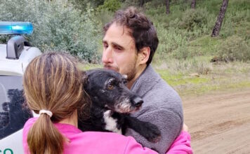 ispania 1200x630.jpg