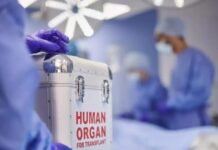 istock 1439788224 1200x630.jpg