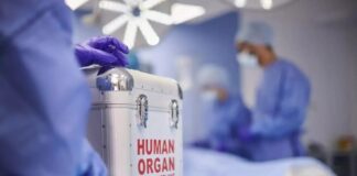 istock 1439788224 1200x630.jpg