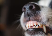 istock 2191591229 1200x630.jpg