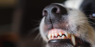 istock 2191591229 1200x630.jpg