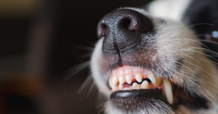 istock 2191591229 1200x630.jpg istock 2191591229 1200x630.jpg