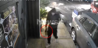 jacky o bomb 1200x630.jpg