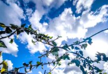 Καιρός σήμερα: Τους 18 βαθμούς Κελσίου θα φτάσει η θερμοκρασία kairos 2 2 1200x630.jpg