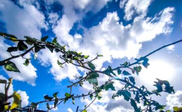 kairos 2 2 1200x630.jpg