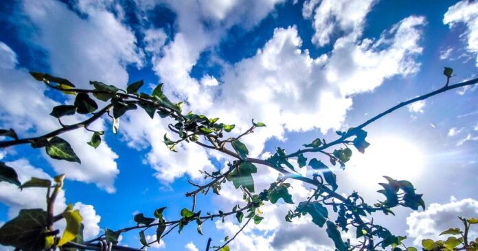 kairos 2 2 1200x630.jpg