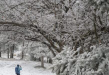 kairos 2 3 1200x630.jpg