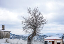 kairos 81 1200x630.jpg