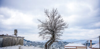 kairos 81 1200x630.jpg