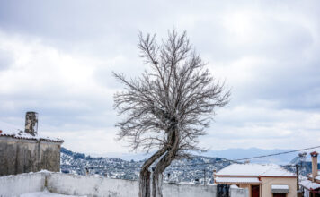 kairos 81 1200x630.jpg