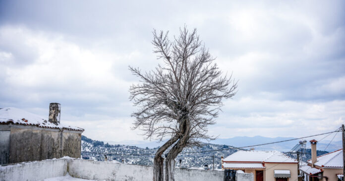 kairos 81 1200x630.jpg