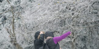 kairos 84 1200x630.jpg