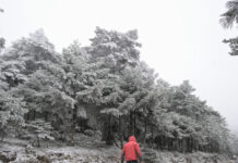 kairos 85 1200x630.jpg