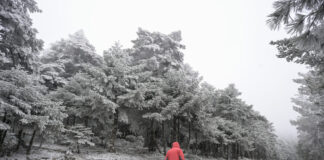 kairos 85 1200x630.jpg