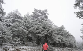 kairos 85 1200x630.jpg