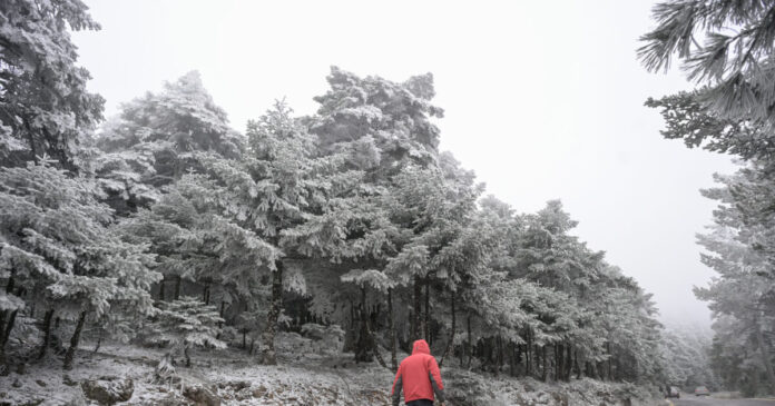 kairos 85 1200x630.jpg