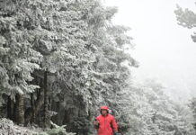 kairos 86 1200x630.jpg