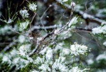 kairos xionia 2 1 1200x630.jpg