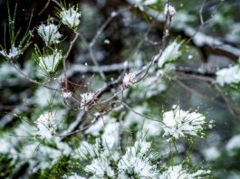 kairos xionia 2 1 1200x630.jpg