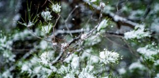 kairos xionia 2 1 1200x630.jpg