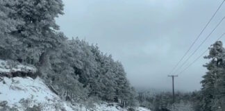 kairos2 11012026 1200x630.jpg